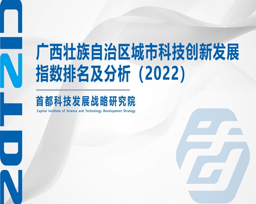 操逼啊啊啊插骚逼啊啊操视频【成果发布】广西壮族自治区城市科技创新发展指数排名及分析（2022）